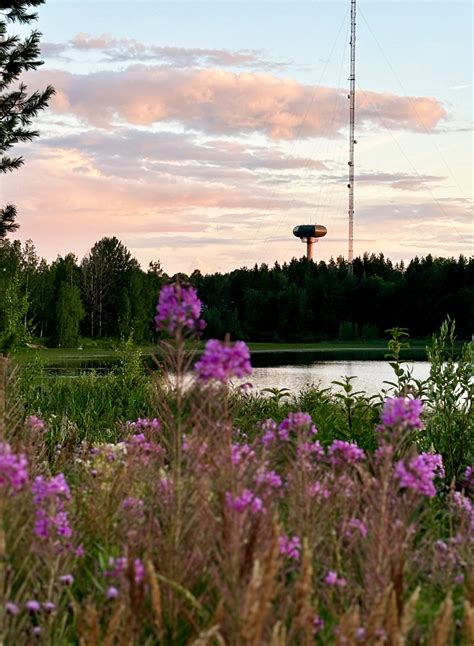 parkano asukasluku|Parkanon kaupunki